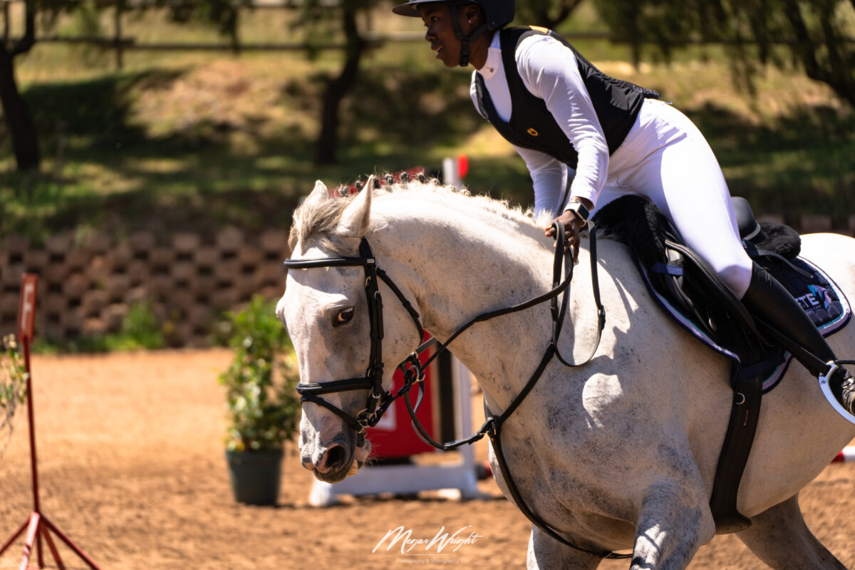MEG03667_Original